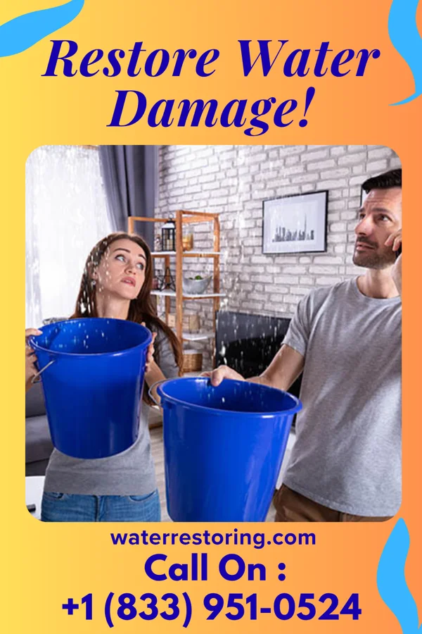 water restoration Stellar Cleanup Team Prince